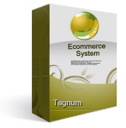 Ecommerce System